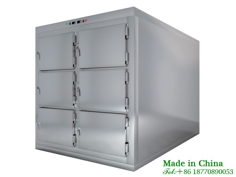 Body freezer storage cabinet